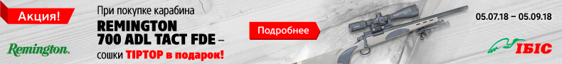 Ibis Irbis