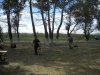 DSCN0004.JPG