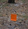 DSC_0049.jpg DSC_0049.jpg