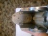 image135871255092917.jpg