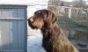20190407_074248.jpg 20190407_074248.jpg
