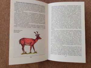 Красная книга (2).jpg