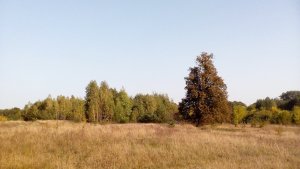 IMG_20200926_153453 - копия.jpg