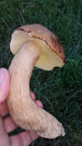 20230801_191944.jpg