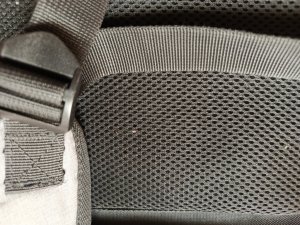IMG_20240519_102233_630.jpg