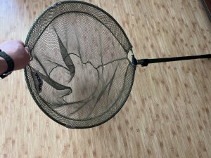 IMG_1735.jpeg