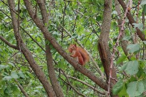 IMG_20240723_105556.jpg