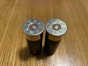 Snipe_HR_24-02.jpg