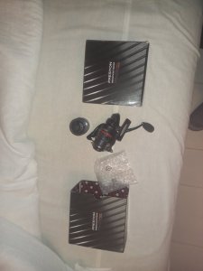 20241104_210451.jpg