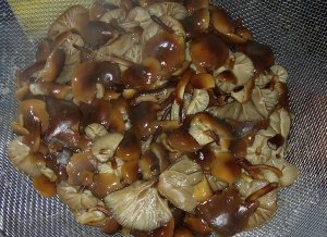 IMG-20201227-114550.jpg