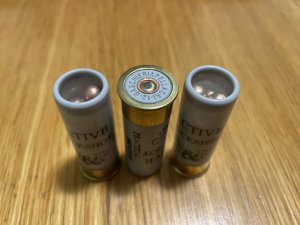 BP_ABs-04.jpg