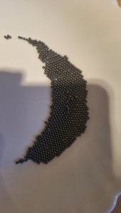 20250126_083837.jpg