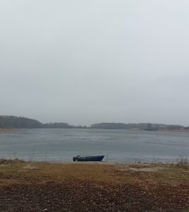 20250125_121147.jpg
