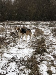IMG_2469.jpeg