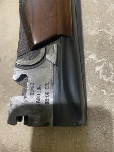 IMG_2032.jpeg