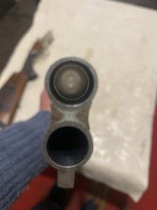IMG_2035.jpeg