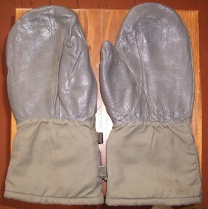 DSCF0679.JPG