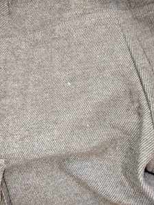 IMG_20250217_165720.jpg
