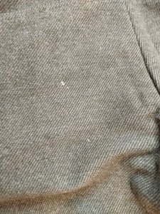 IMG_20250217_165721.jpg
