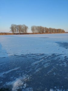 20250219_162734.jpg