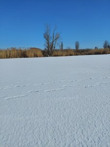 20250224_110825.jpg