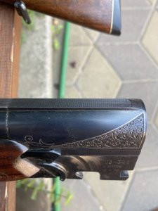 IMG_1435.jpeg