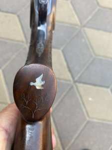 IMG_1427.jpeg