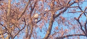 20250228_073711.jpg