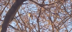 20250228_073748.jpg
