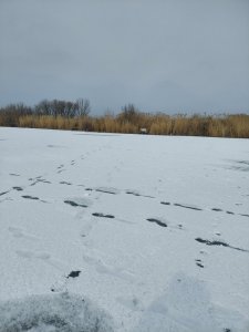 20250301_130344.jpg