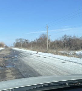 IMG_0137.jpeg
