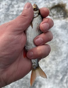 IMG_0130.jpeg