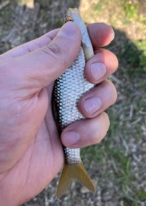 IMG_0394.jpeg
