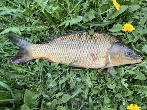 IMG_0432.jpeg