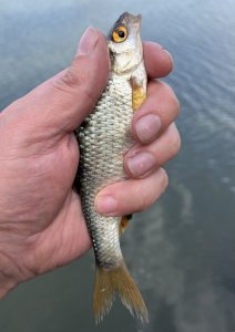 IMG_0456.jpeg