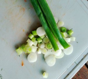 IMG_0464.jpeg