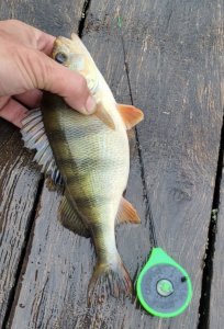 IMG_0500.jpeg