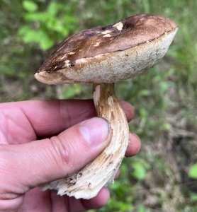 IMG_0592.jpeg