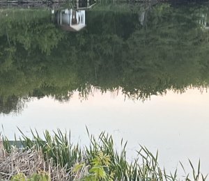 IMG_0555.jpeg