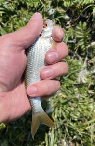 IMG_0630.jpeg