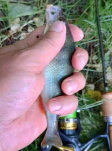 IMG_20250524_114416883_HDR (1).jpg
