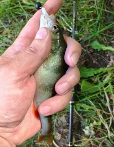 IMG_20250524_122328708_HDR (1).jpg
