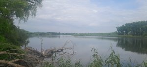 20250524_091752.jpg