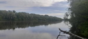 20250524_091742.jpg