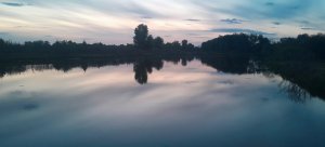 20250514_210544.jpg