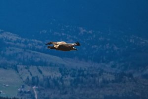 IMG_20250531_163148_747.jpg