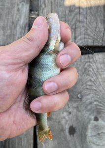 IMG_0670.jpeg