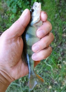 IMG_20250525_102233593 (1).jpg