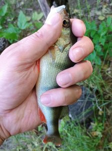 IMG_20250525_103453497 (1).jpg