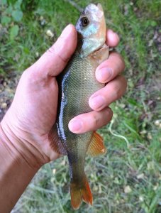 IMG_20250525_113448790_HDR (1).jpg